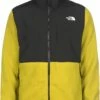 The North FaceTHE NORTH FACE FLEECEJACKE DENALI 2 - Fleecejacka - Acid Yellow -Stilfulla Val Butik 6cda109e0176424cad6a61c98e759d1e