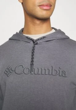 ColumbiaCOLUMBIA LODGE™ FRENCH TERRY HOODIE - Luvtröja - City Grey Heather -Stilfulla Val Butik 86435eb3de5b4c338a9cdfd10651ed60