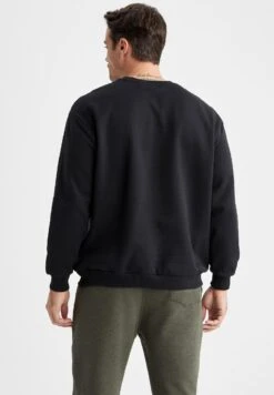 DeFactoDISCOVERY ADVENTURES - Sweatshirt - Black -Stilfulla Val Butik c08c8801267546e48c88a7be81bd222b