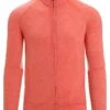 IcebreakerMERINO ZONE LS ZIP - Kofta - Vibrant Earth Chalk Cb -Stilfulla Val Butik ce6cce3def464a6d8e2fe7030f8da871