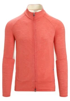 IcebreakerMERINO ZONE LS ZIP - Kofta - Vibrant Earth Chalk Cb